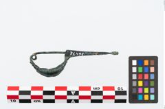 Foto von Bronzekahnfibel (NHMW-PRAE-026478)